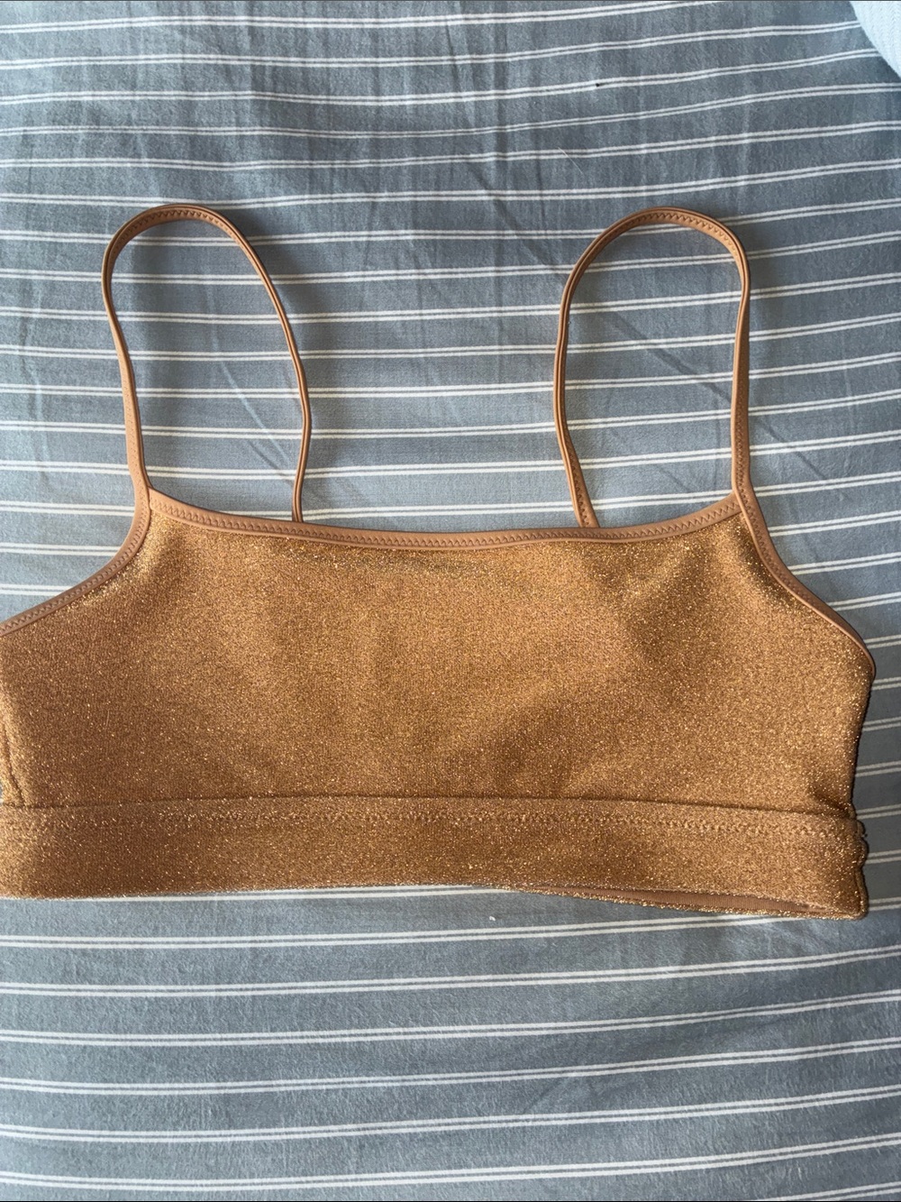 aerie Shimmery Bronze Bikini Top